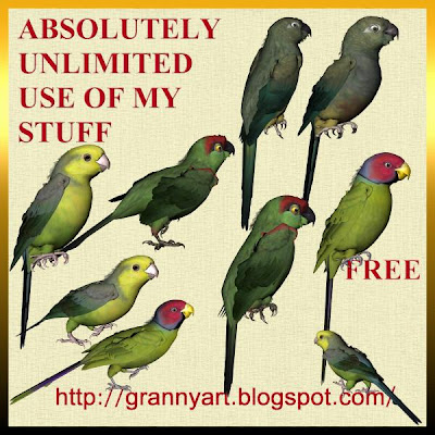 http://grannyart.blogspot.com/2009/04/parrot-4-in-png-free.html