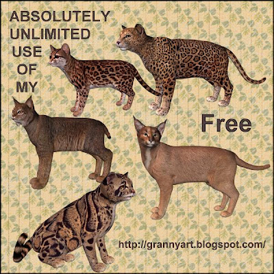http://grannyart.blogspot.com/2009/05/wild-cat-1-in-png-free.html