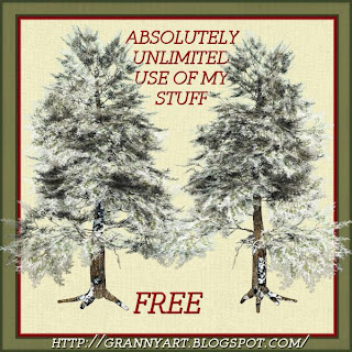 Winter False Cedar in png free by Helga Stolzenwald Winter+False+Cedar-tumb