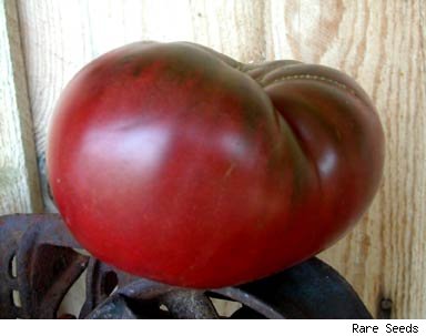 [cherokee-purple-tomato.jpg]