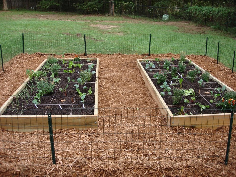 [RSGarden+2009+010.jpg]