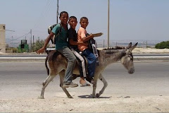 kids riding on a donkey