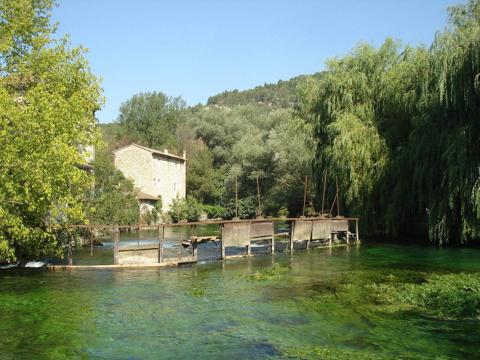 [DSC06915.JPG]
