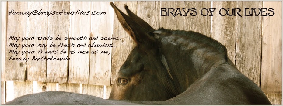 Brays of Our Lives