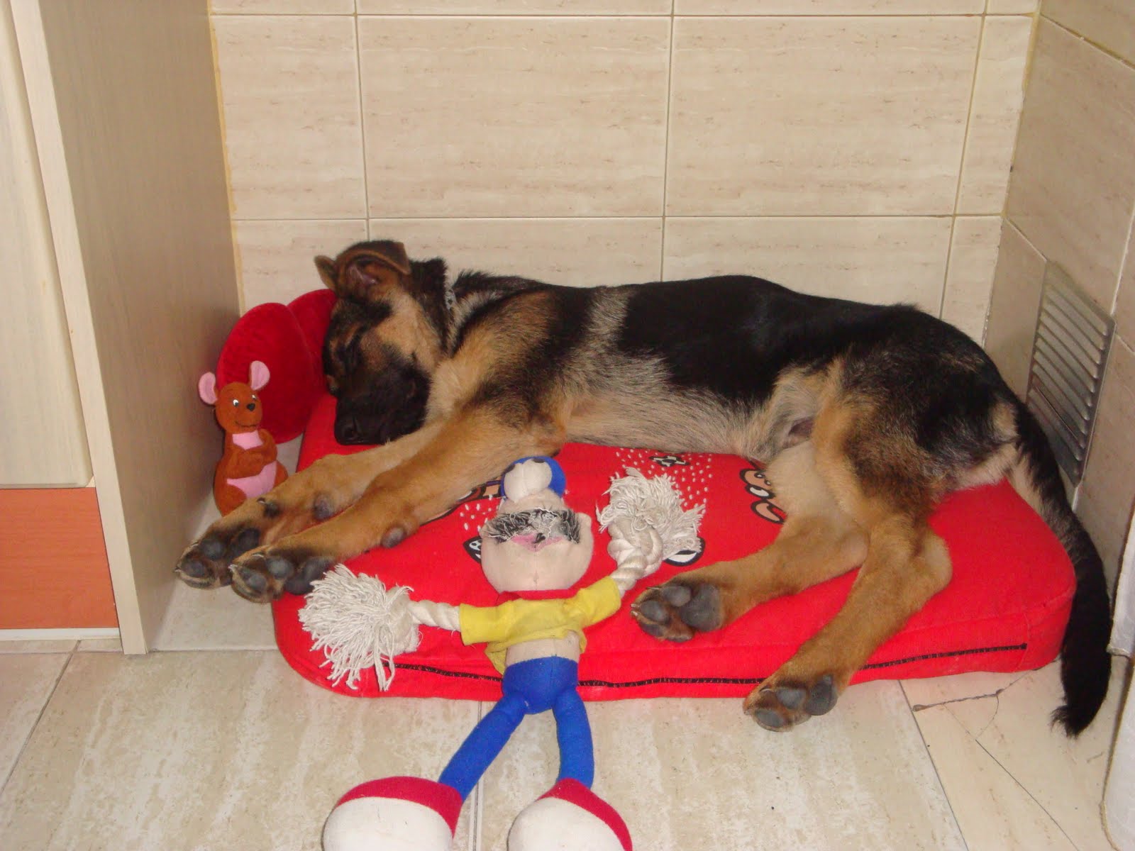 [Akira+y+la+siesta.JPG]