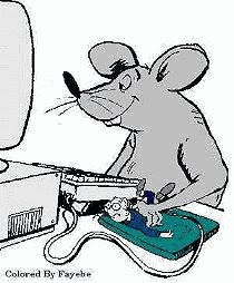 rato, mouse