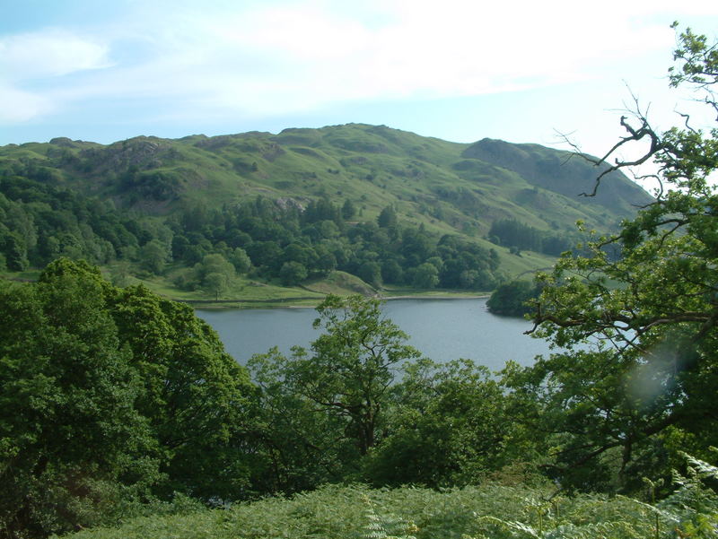 [DSCF0117.JPG]