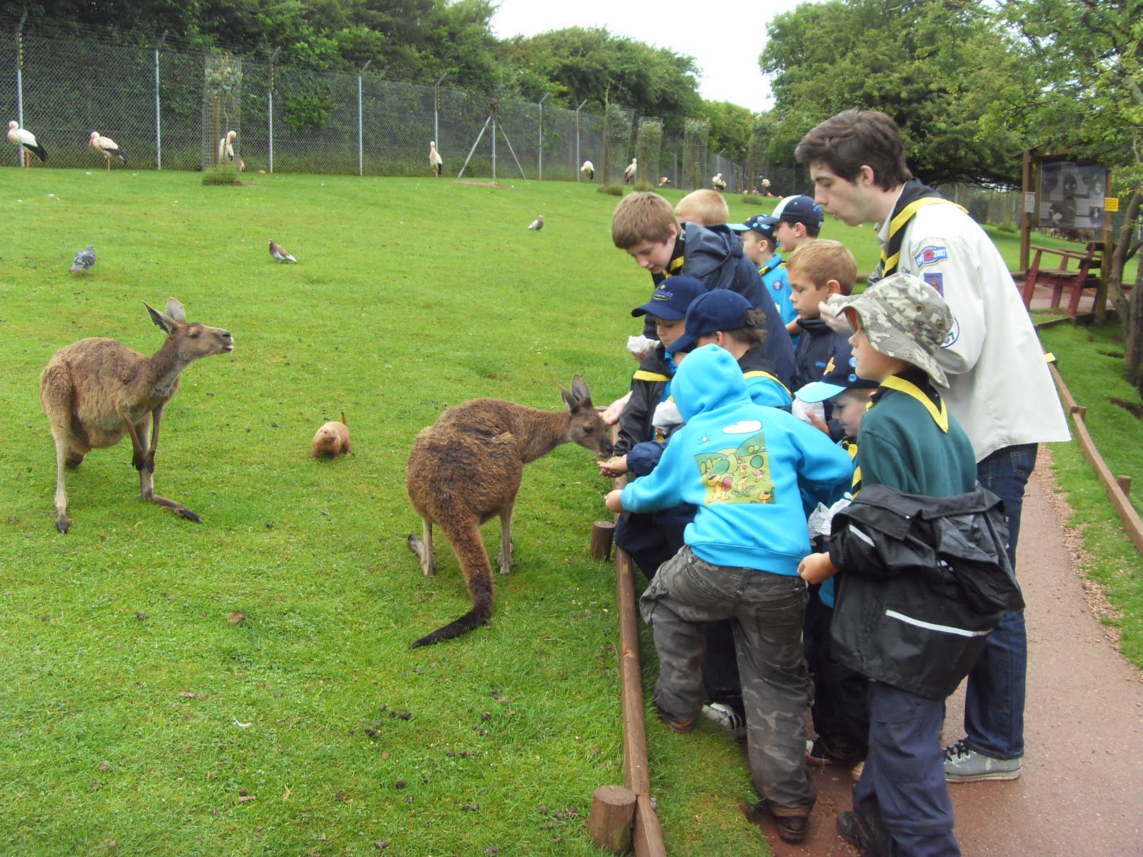 Baxenden Beavers: South Lakes Wild Animal Park
