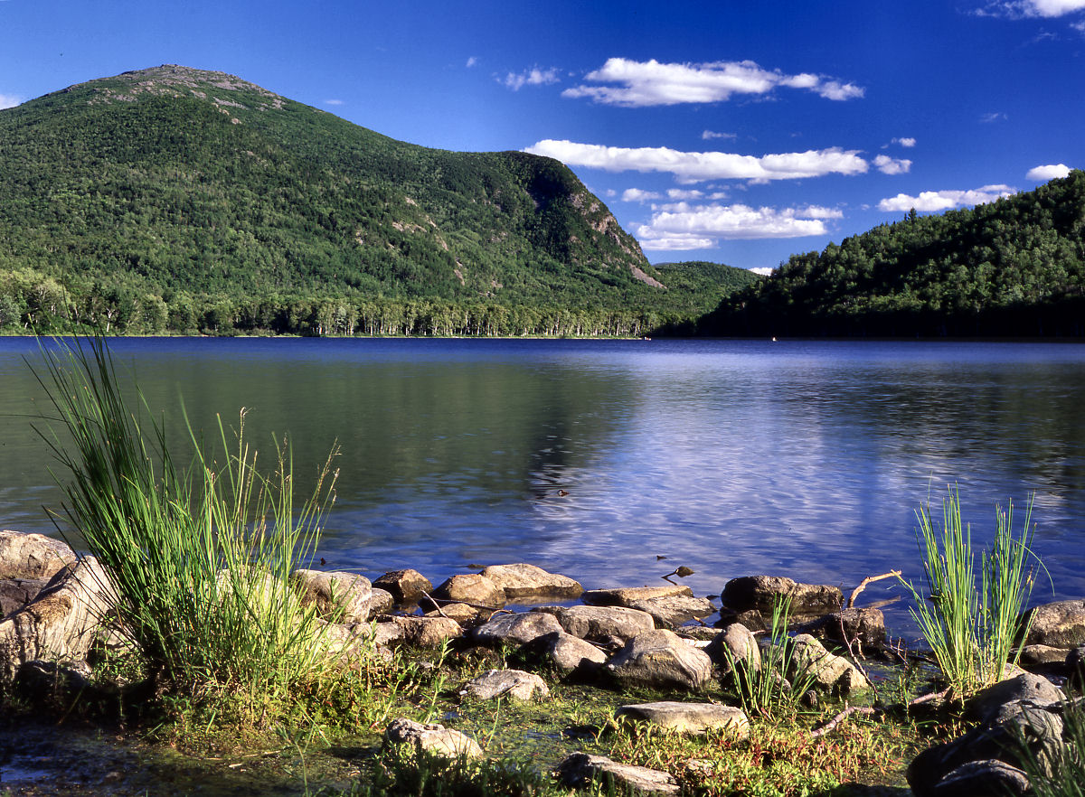 Adventures in the Life of ME South Branch Pond