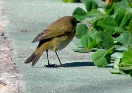 [Crop+0406.JPG]