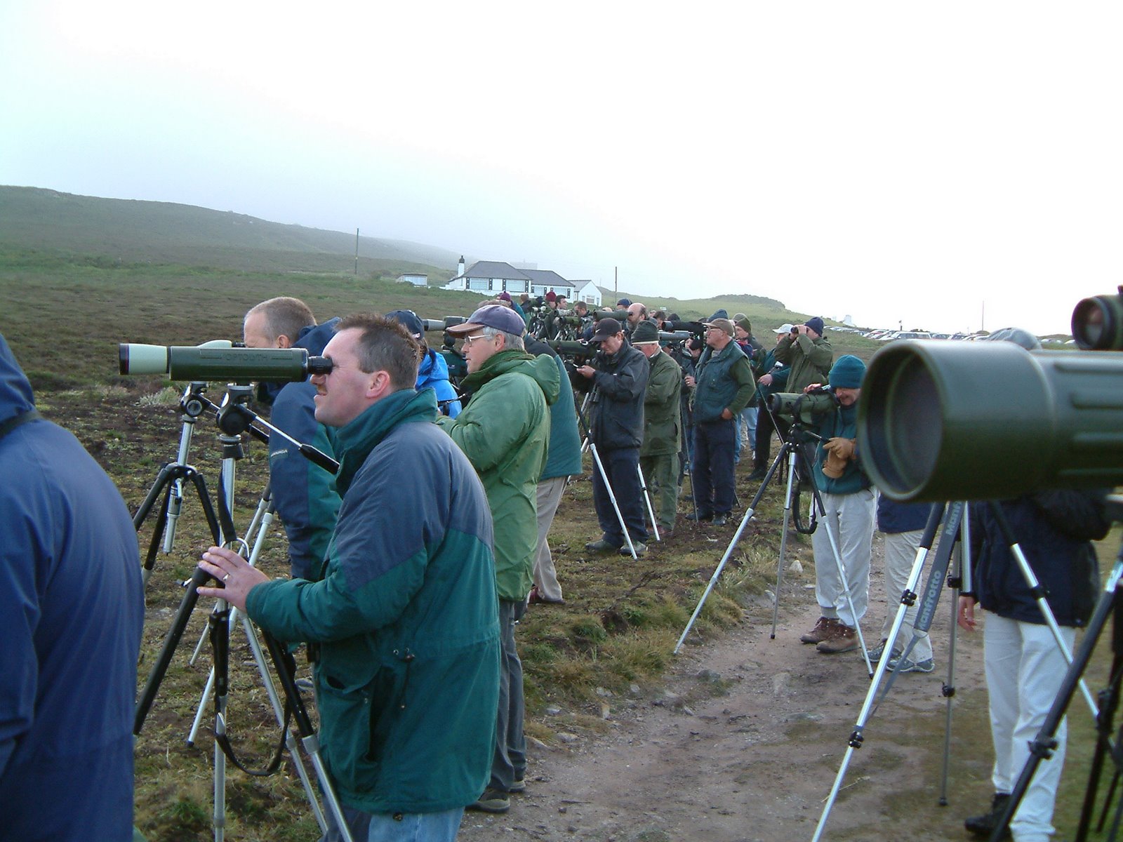 [Black+Lark+Twitch+copy.JPG]