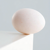 [tipping_point-Egg1.gif]