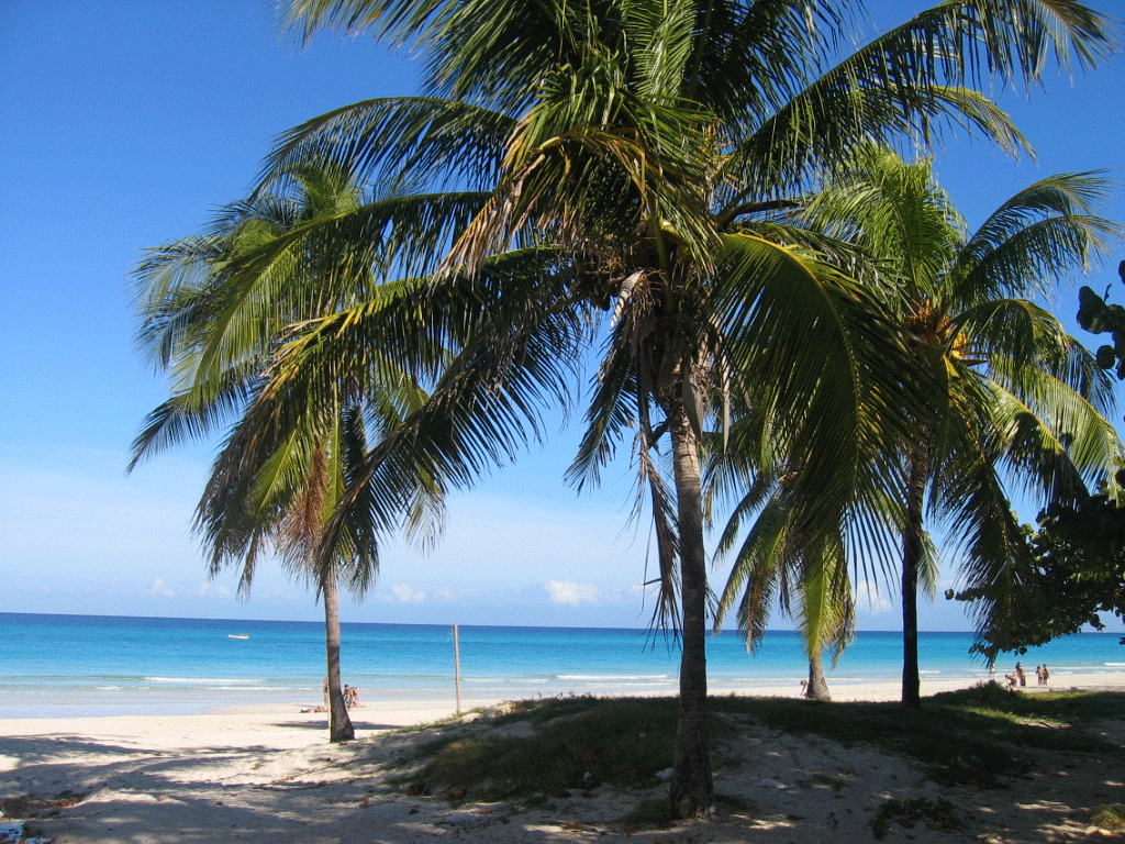 [Havana-varadero.gif]
