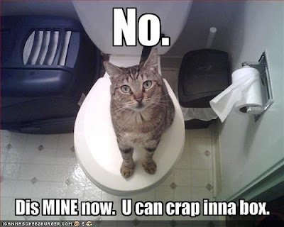 crap box