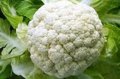 Image Result For Agen Pulsa Murah Di Kembang Tanjong Image Result For Agen Pulsa Murah Di Kembang Tanjong