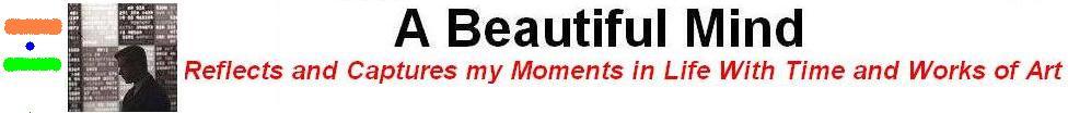 ABeautifulMind