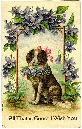 [2218702427_bebb2e351c.jpg]