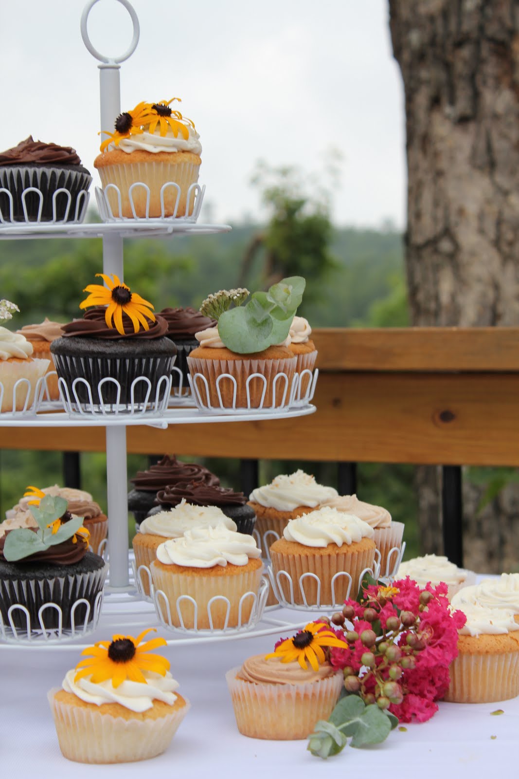 Vote for Short Street Cakes as Asheville’s Best Bakery