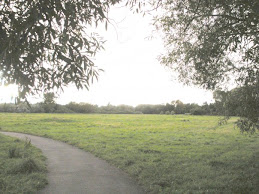 View of Hardy Farm meadow