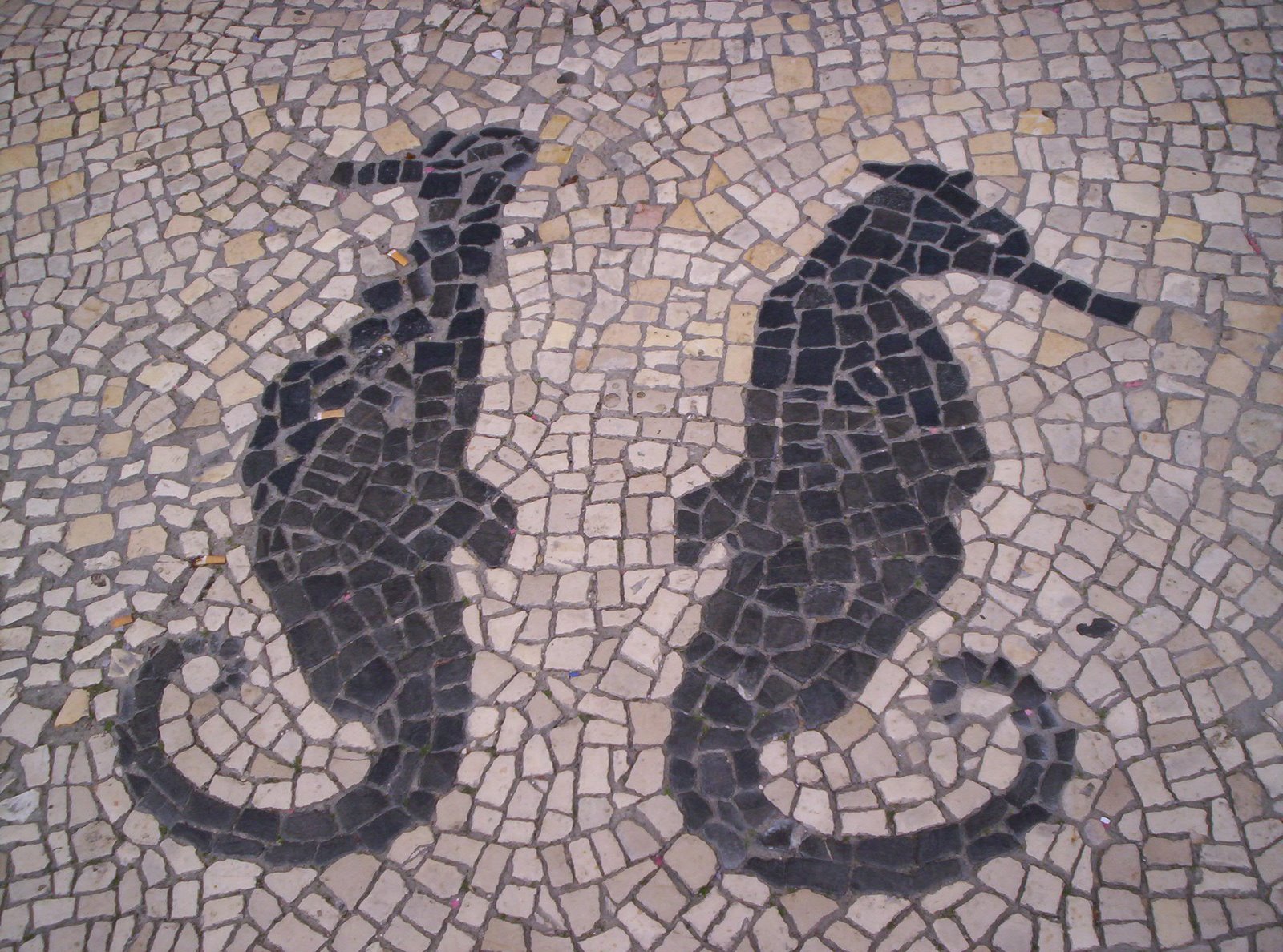 [aveiro+062.JPG]