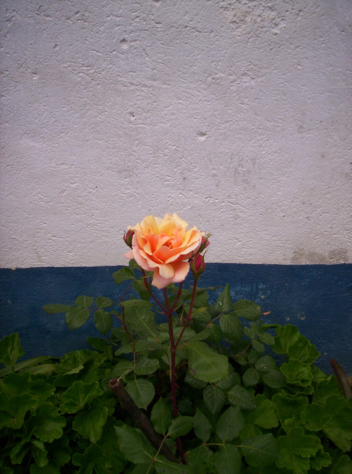 [evoraabril09+044.JPG]