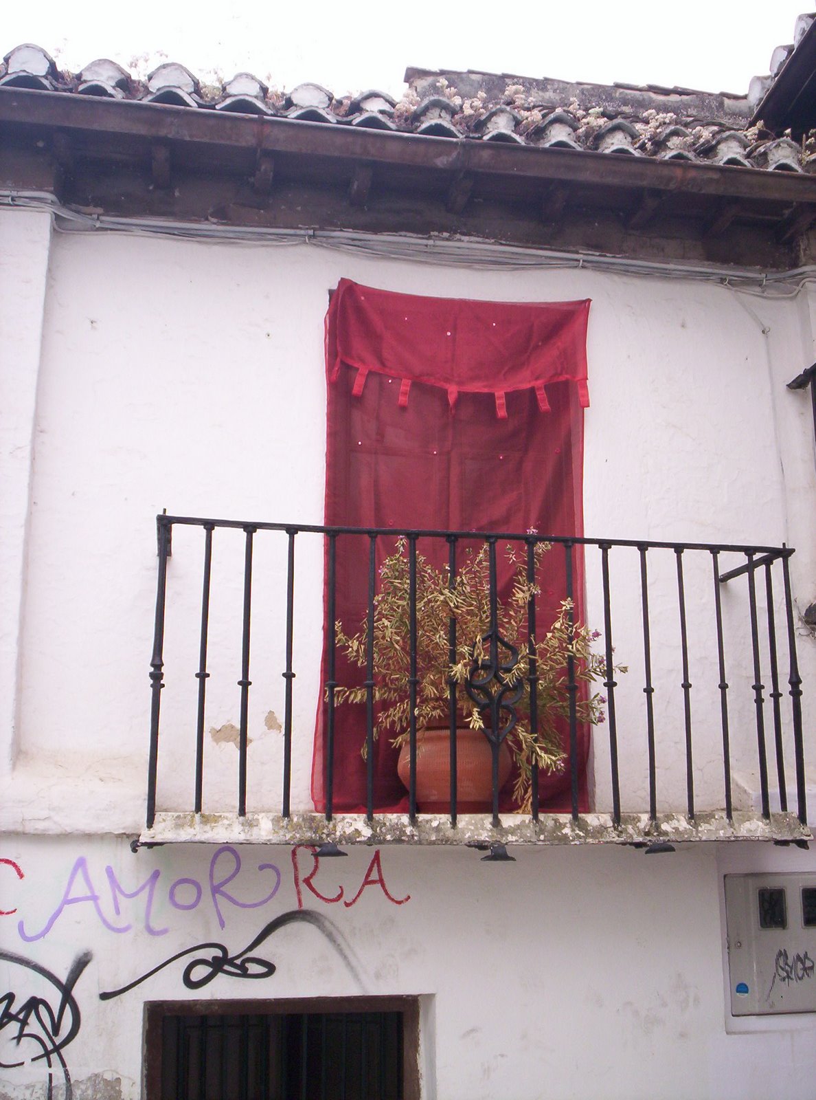 [granadamaio09+164.JPG]