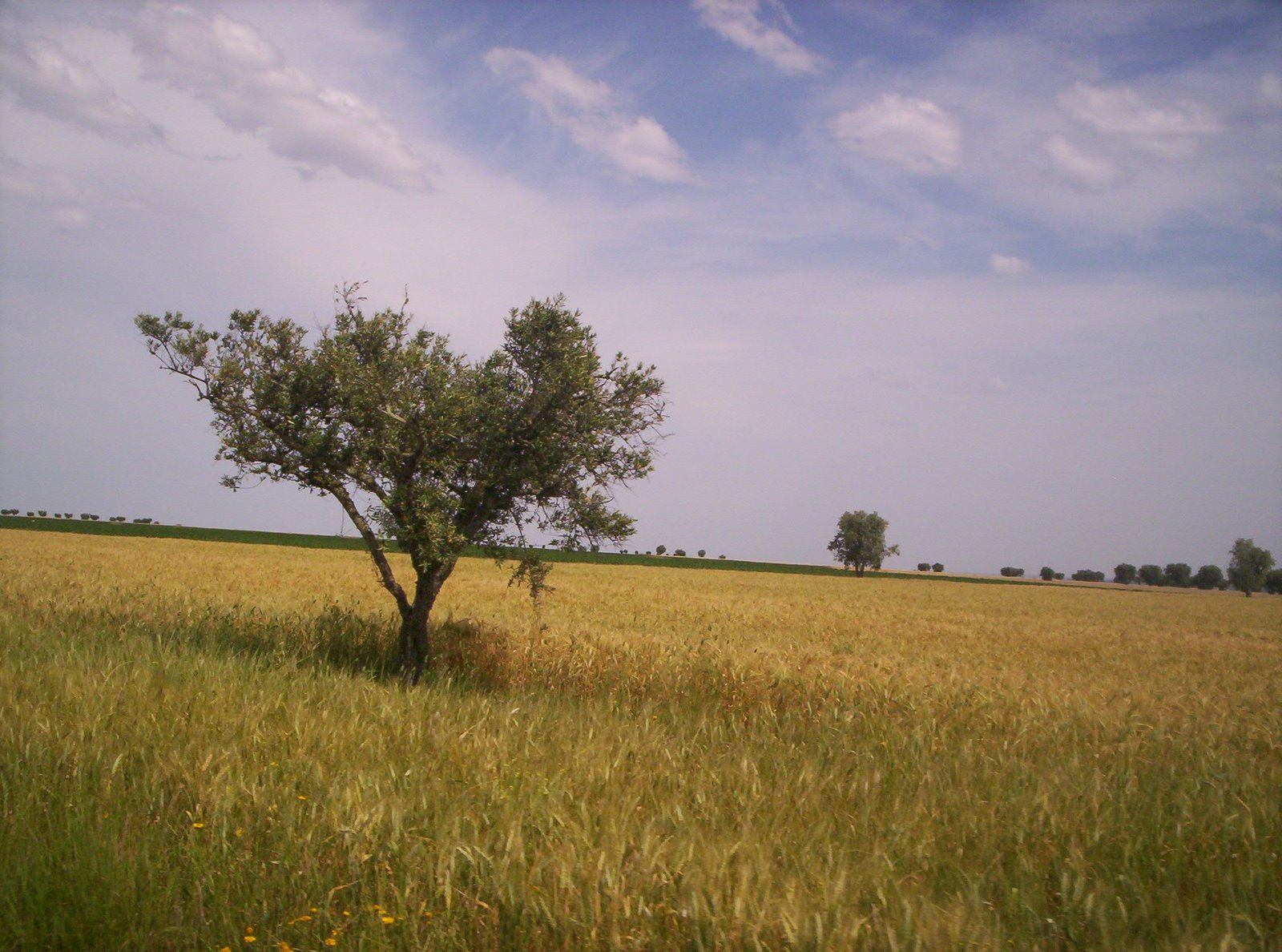 [granadamaio09+056.JPG]