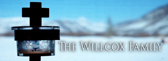 The Willcox Family