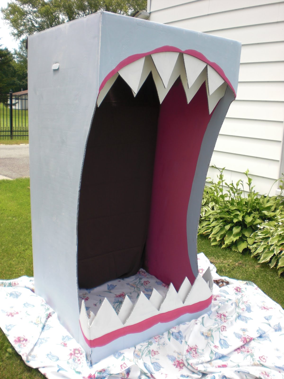 The Blue Door Studio SHARK!!