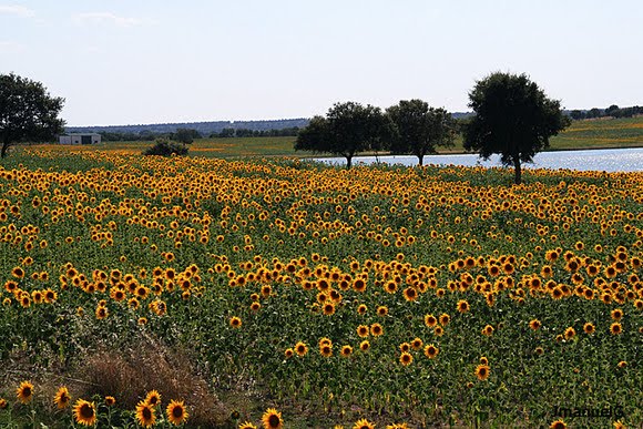 [alentejo...évora..joão.bmp]