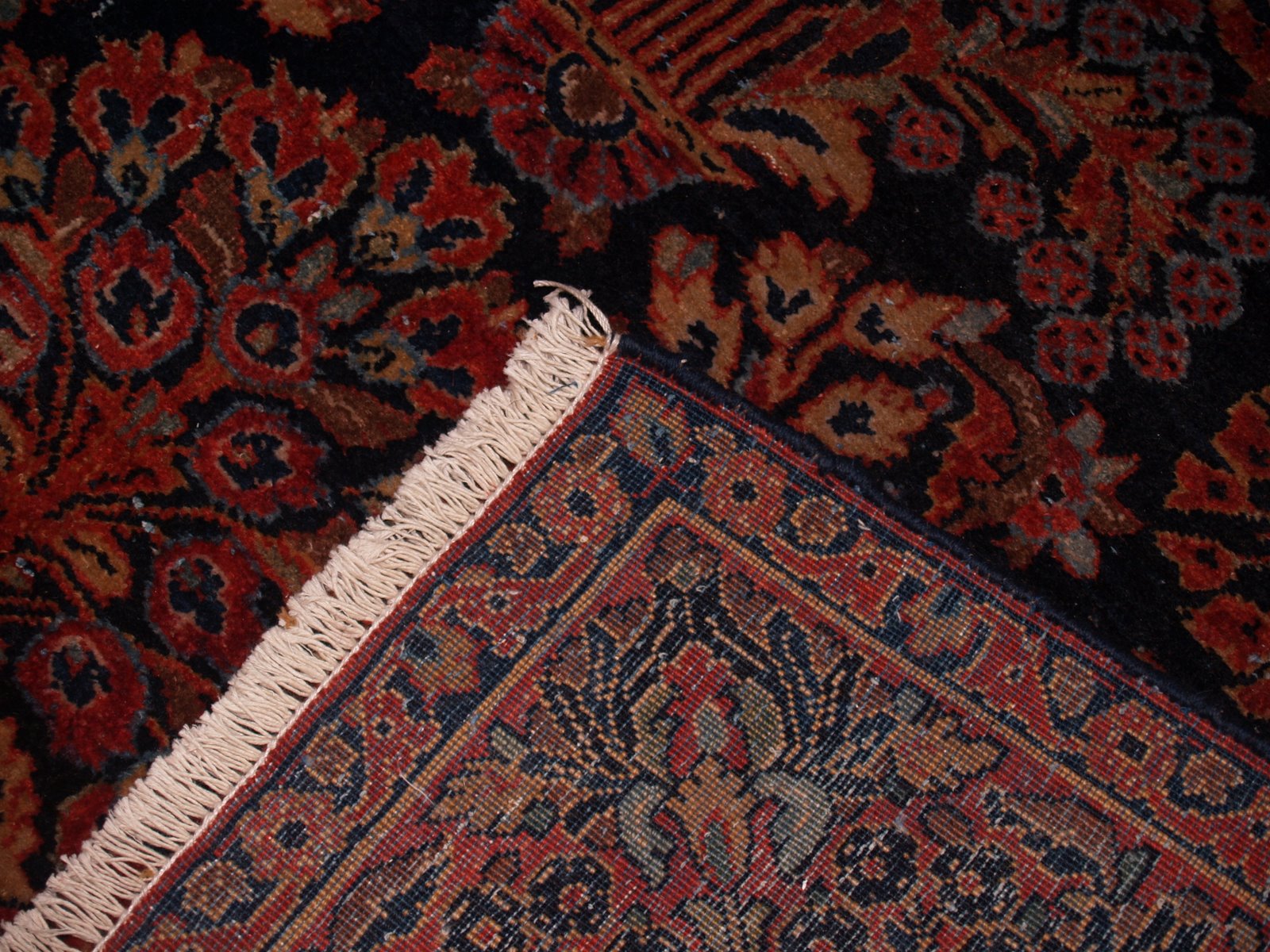 [P1010913.JPG]