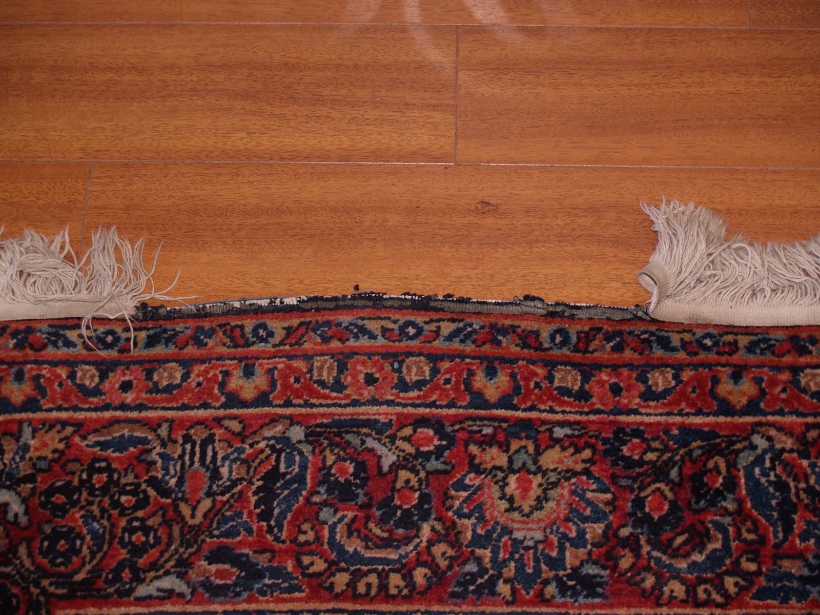 [P1010825.JPG]