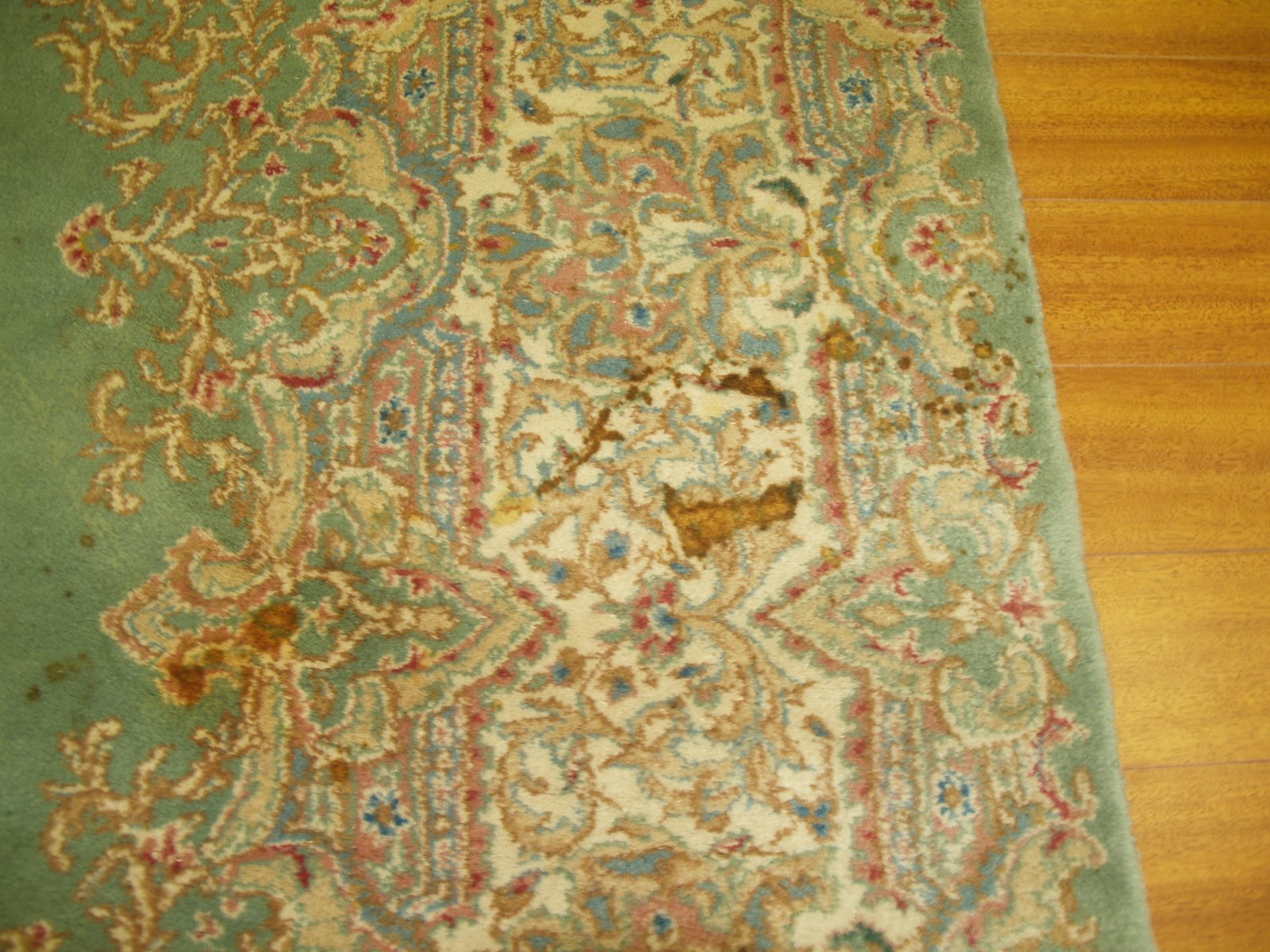 [P1013565.JPG]