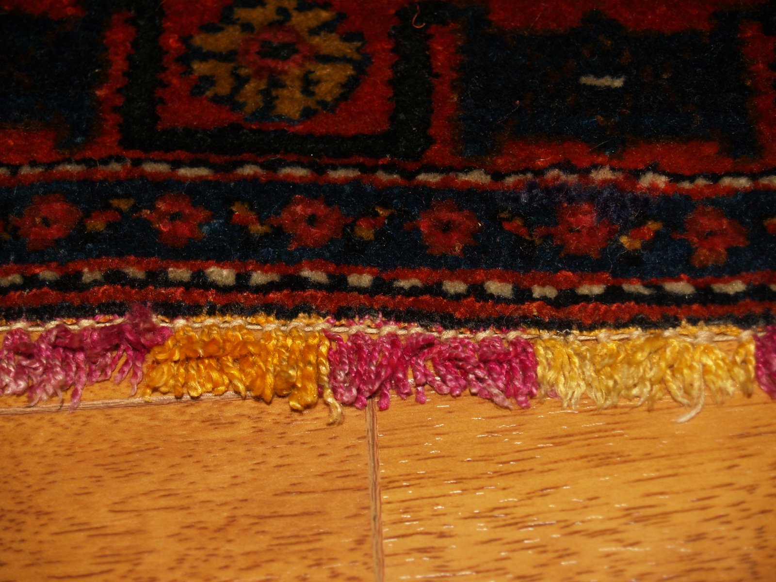 [P1017730.JPG]