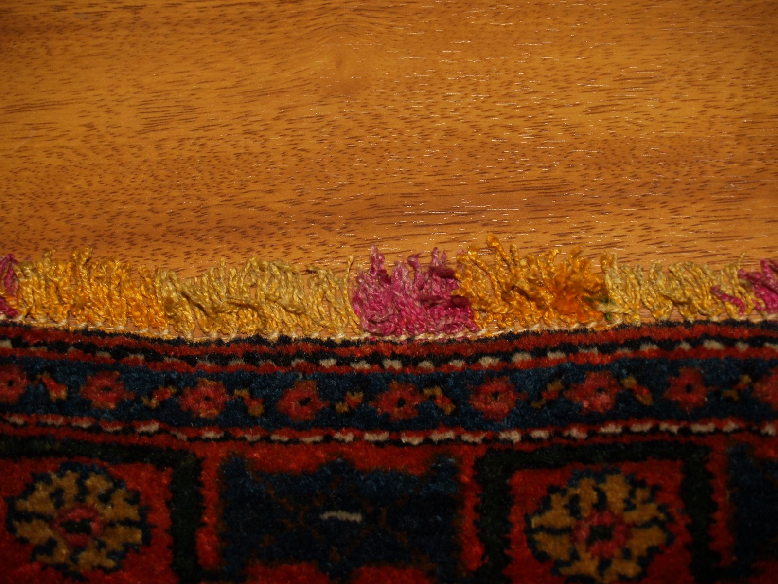 [P1017725.JPG]
