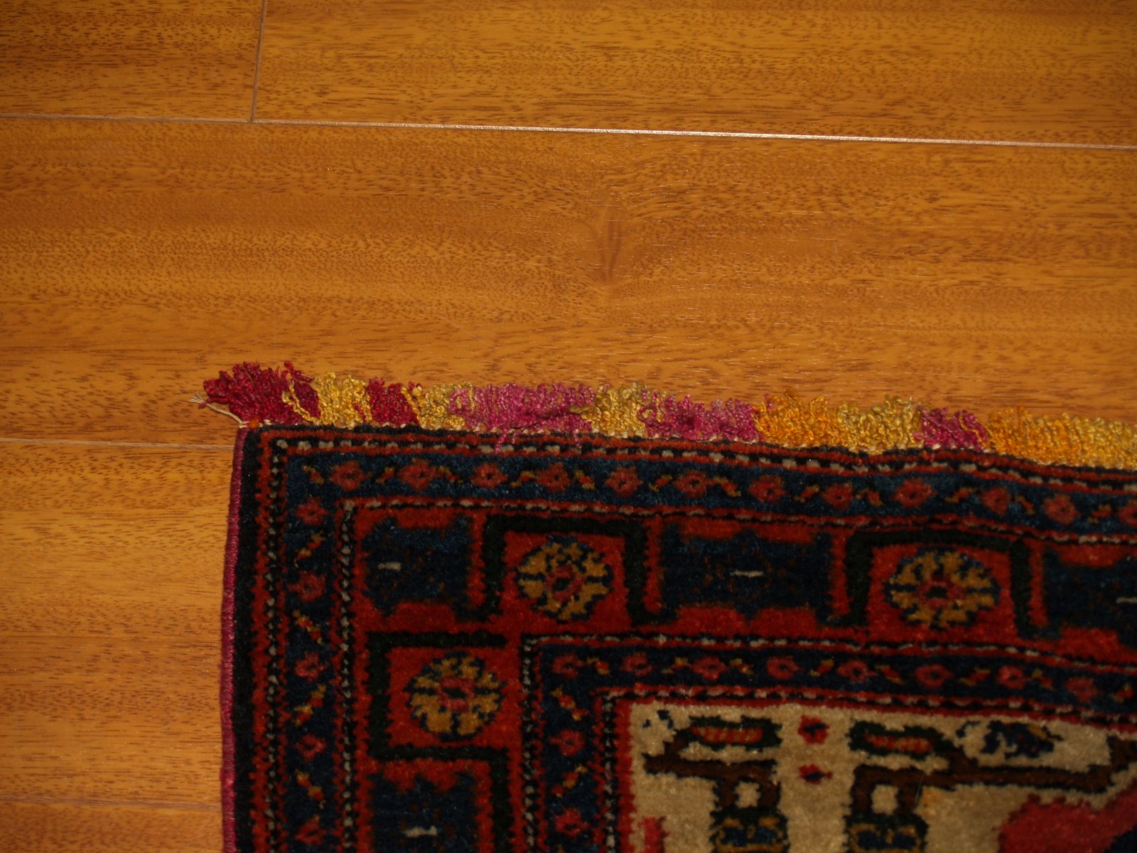 [P1017722.JPG]