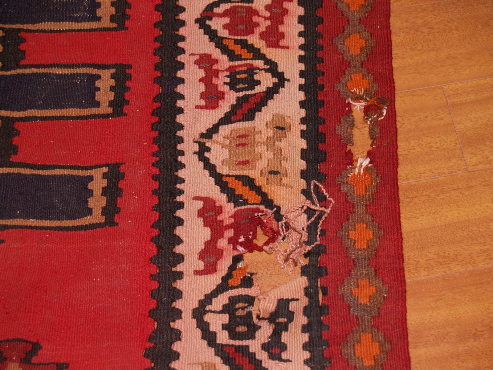 [P1013351.JPG]