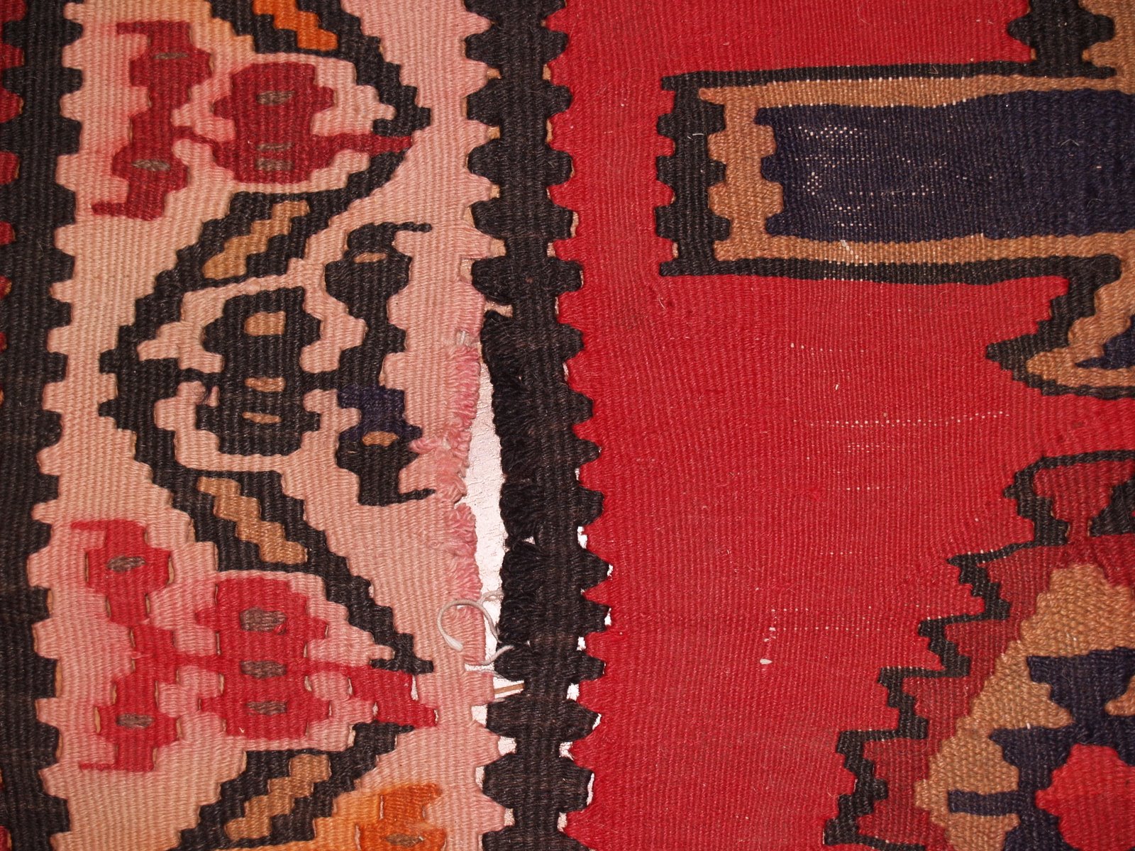 [P1013347.JPG]