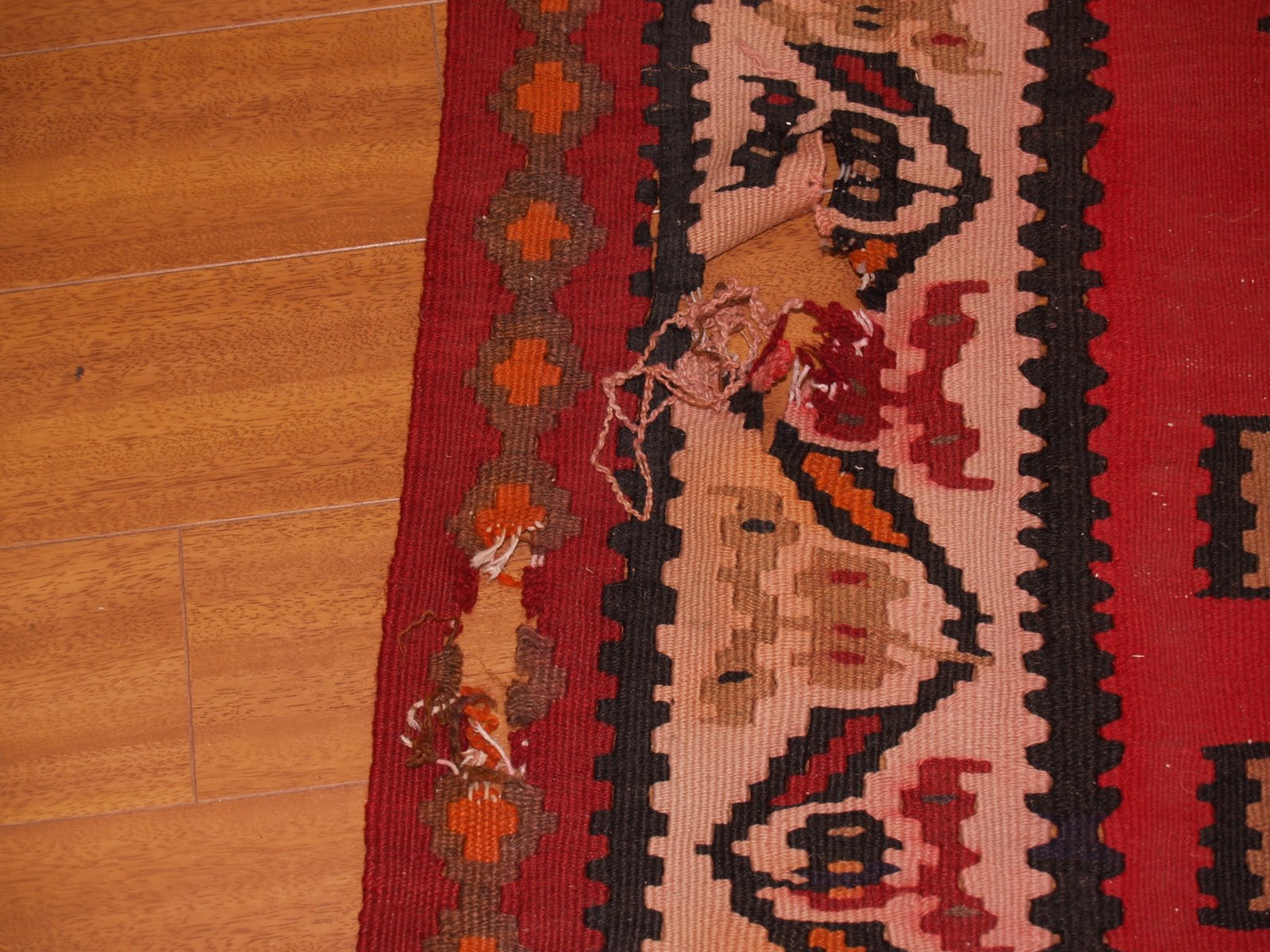 [P1013346.JPG]