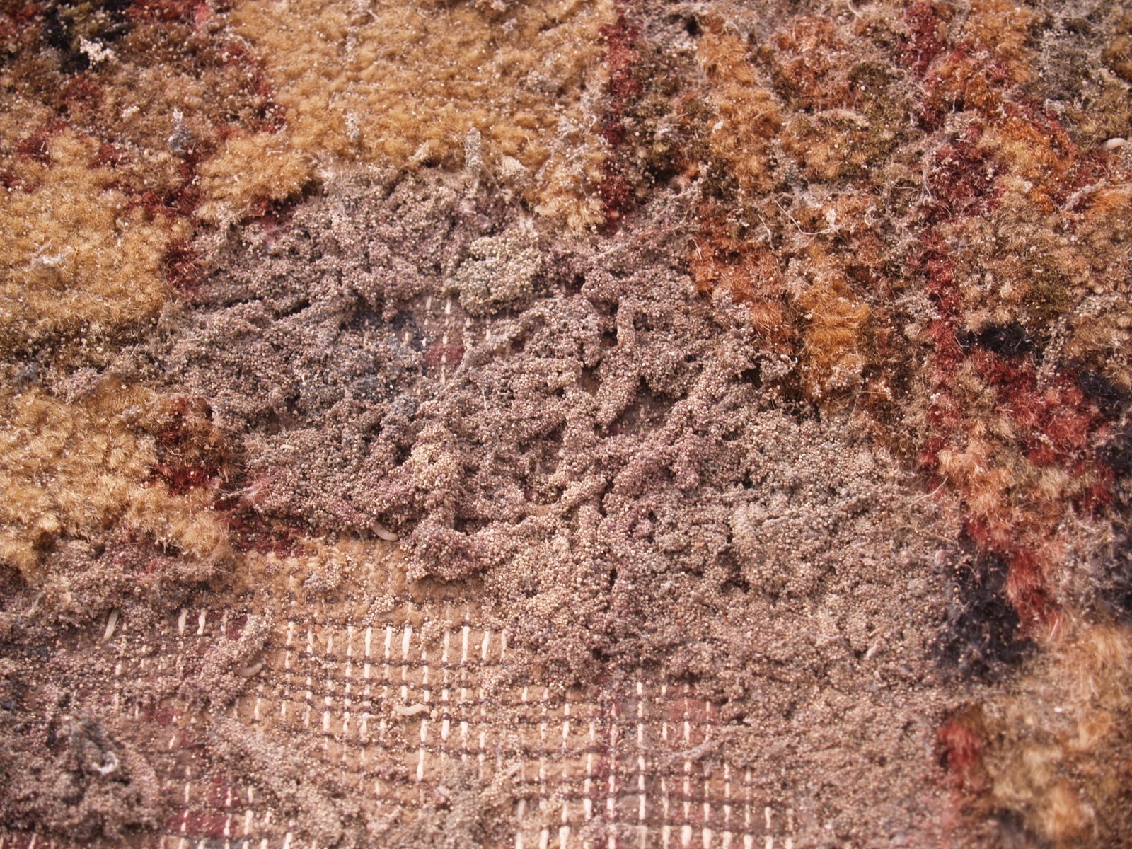 [P1014345.JPG]