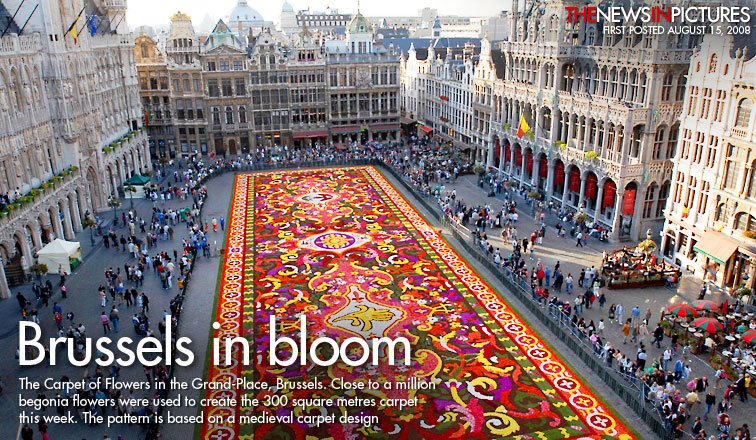 [Brussels+in+bloom.jpg]