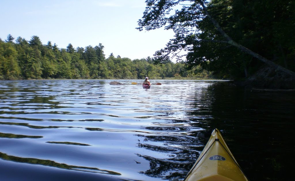 Maine State Parks Lake St. State Park