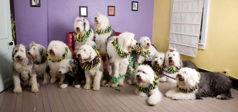 [IMG_1718-edited.jpg]