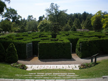 A maze