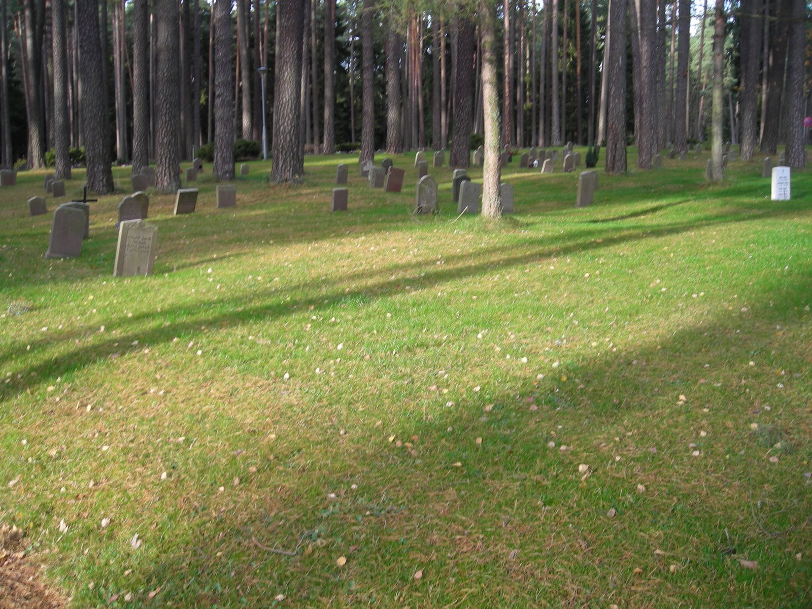 [DSCN1665.JPG]