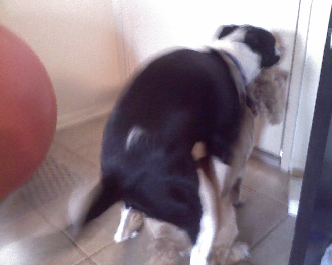 [0_IMAGE_131-764326.jpg]