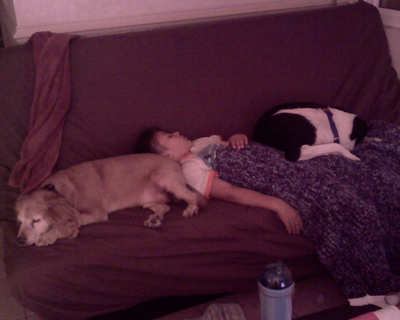 [0_IMAGE_134-700027.jpg]