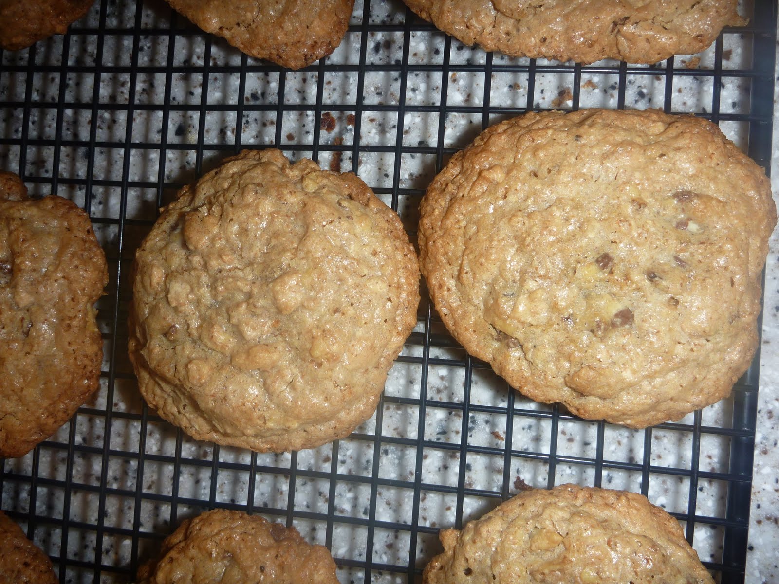 Zippy Mama in the Cookie Jar Kosher for Passover Chocolate Chip