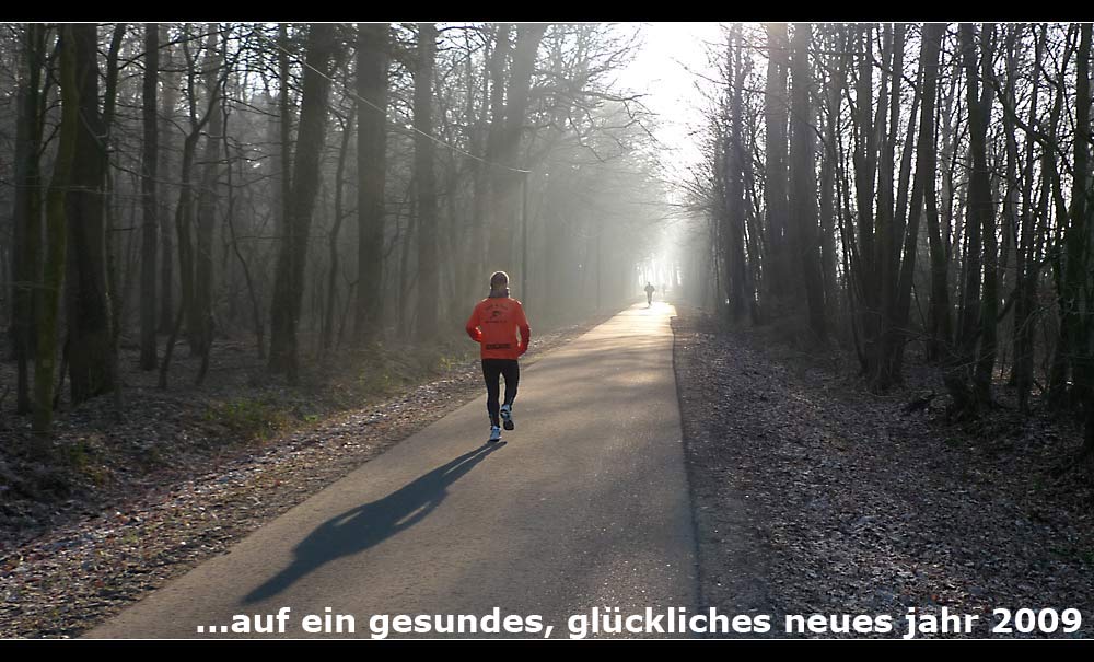 [silvesterlauf_tom2008.jpg]