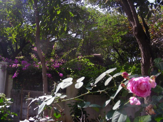 [DSCN0961.JPG]